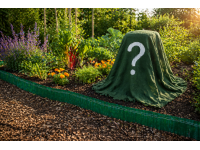 geheimnisvoller_garten_mit_verstecktem_objekt