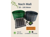 nach_mass_1502969480