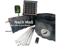 nach_mass_solar_281031381