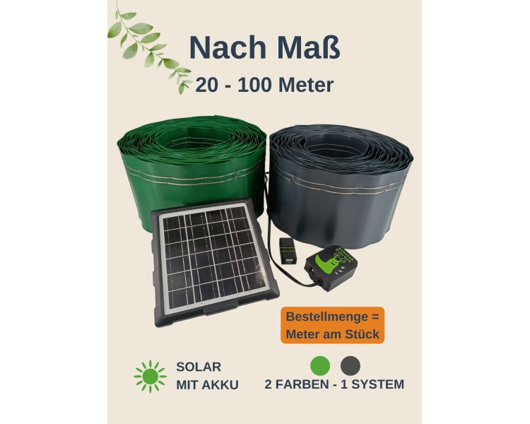nach_mass_1502969480