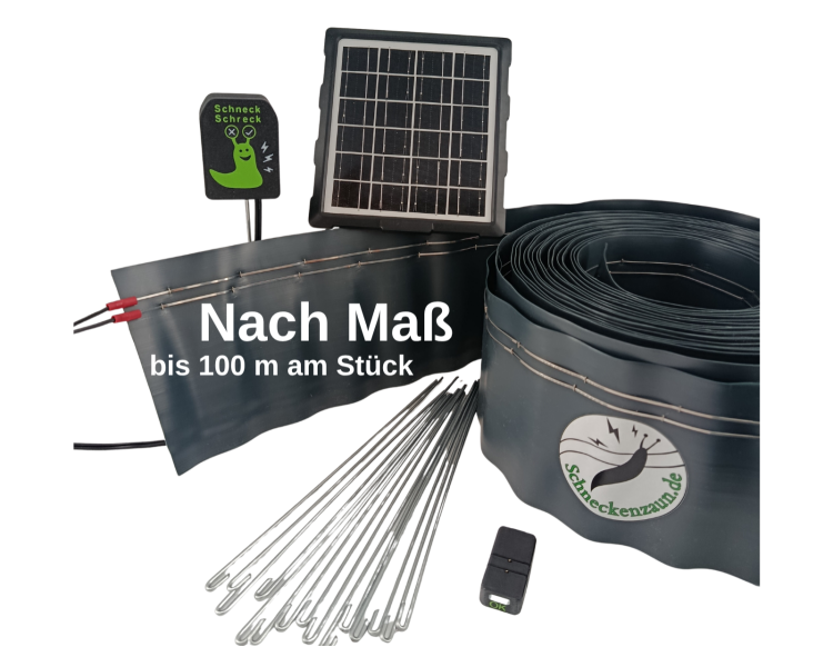 nach_mass_solar_281031381